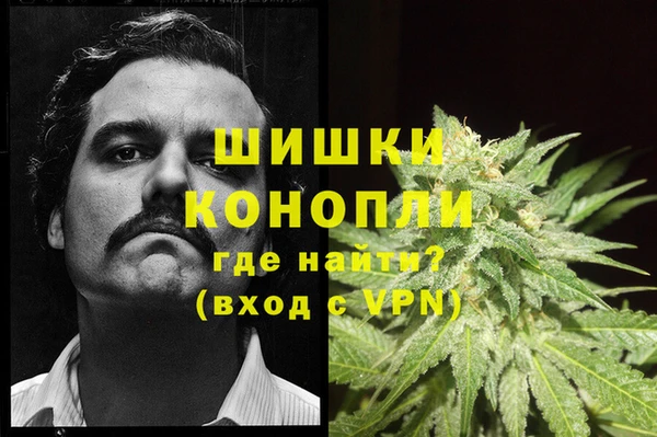 молекула духа Горнозаводск