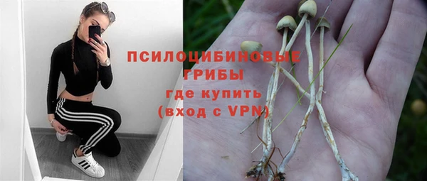 метадон Алексин