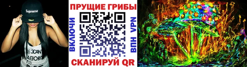 Псилоцибиновые грибы Psilocybe Павлово