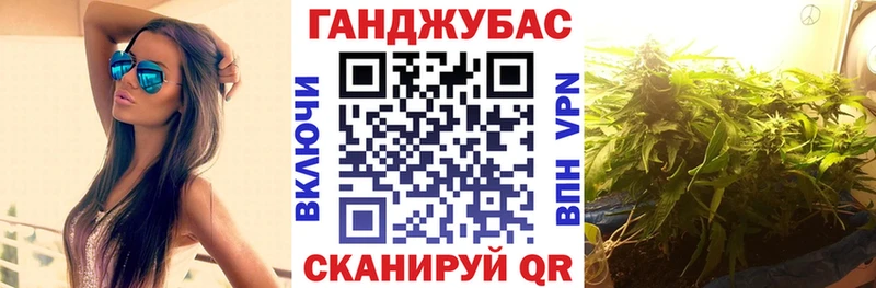 Марихуана сатива  закладка  Павлово 